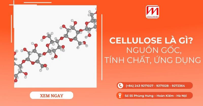 Hình ảnh cấu trúc mạch thẳng xenlulozo với liên kết beta quan trọng giúp hiểu rõ về sự bền vững của xenlulozo